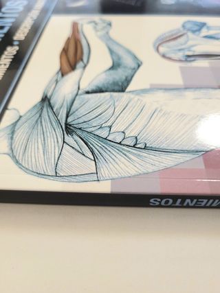 Anatomía & Estiramientos. Guía de estiramientos.