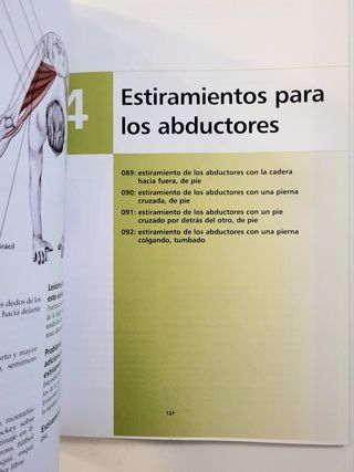 Anatomía & Estiramientos. Guía de estiramientos.