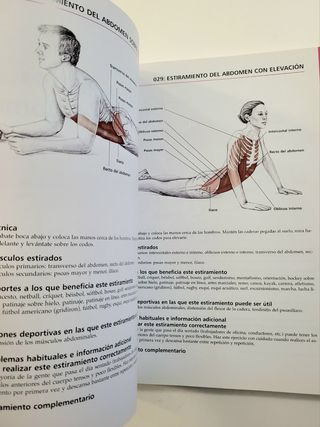 Anatomía & Estiramientos. Guía de estiramientos.
