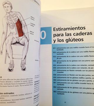 Anatomía & Estiramientos. Guía de estiramientos.