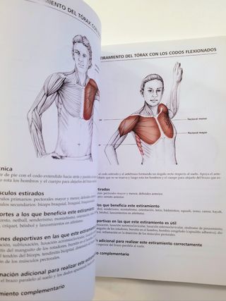 Anatomía & Estiramientos. Guía de estiramientos.