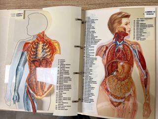 LIBROS EL CUERPO HUMANO