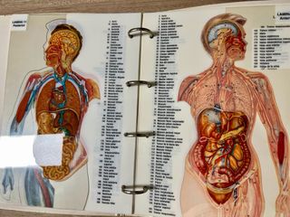 LIBROS EL CUERPO HUMANO