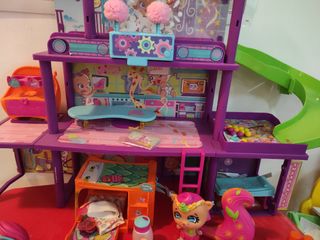 Casa Bellies y 7 Bellies variados