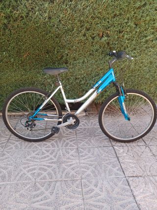 Bicicleta Cup's