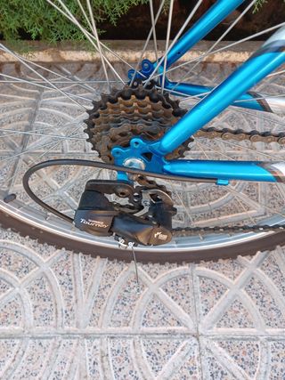Bicicleta Cup's