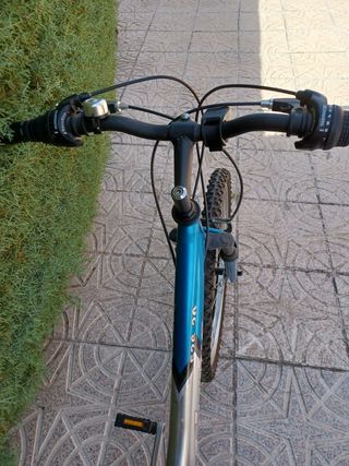 Bicicleta Cup's