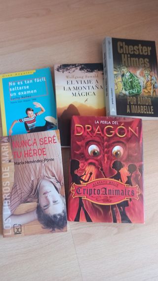 Lote de libros Juveniles