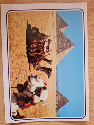 Postales Egipto