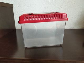 terrario