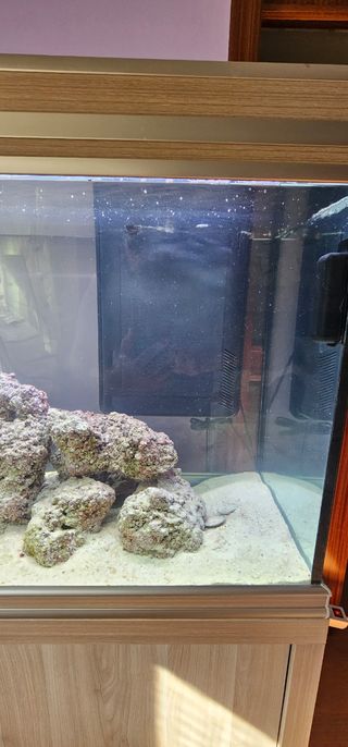 Acuario 230 l