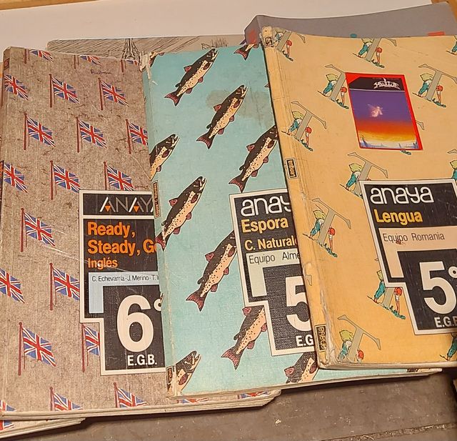 Libros años 80 EGB