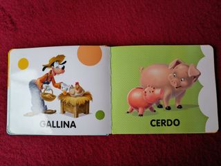 Libro primeras palabras