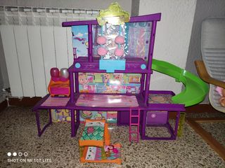 Casita Bellis y de
regalo 2 bellis