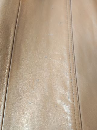 Gabardina Zara Trafaluc