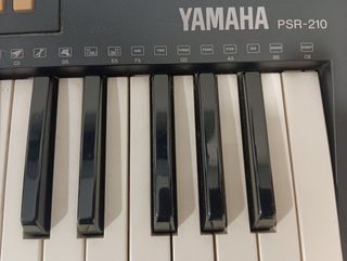 Teclado Yamaha PSR 210