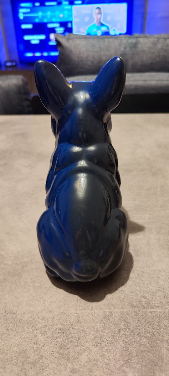 cane Bulldog francese nero blu