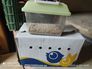 Caja para mascotas
