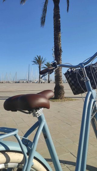 Bicicleta de Paseo