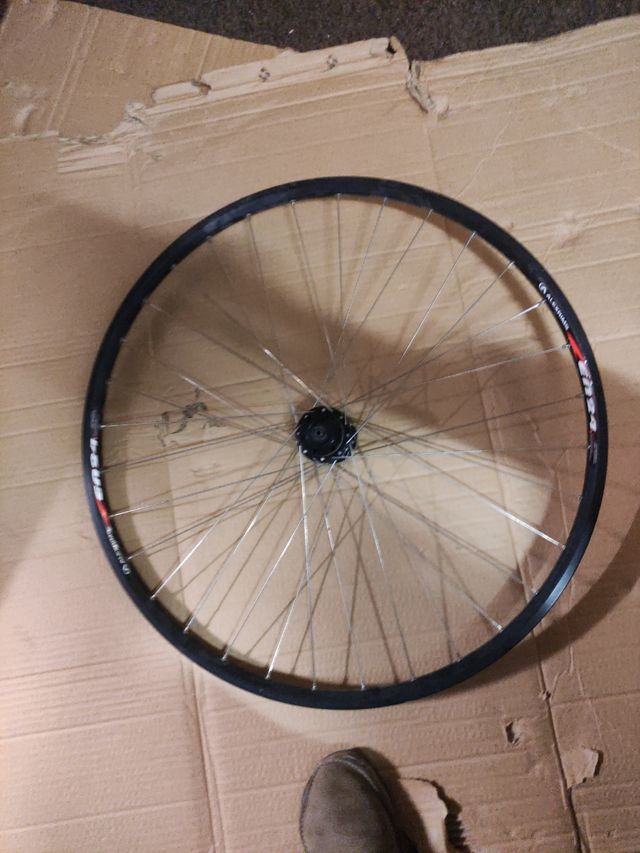 Ruote MTB 29 single Speed