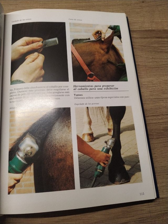 La enciclopedia de los caballos