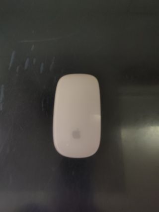 Apple magic mouse