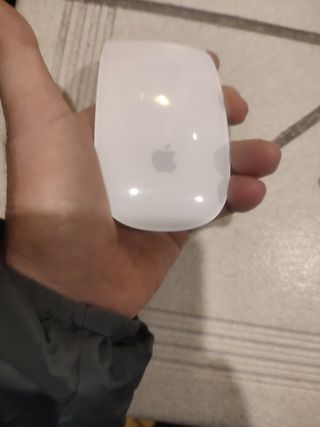 Apple magic mouse