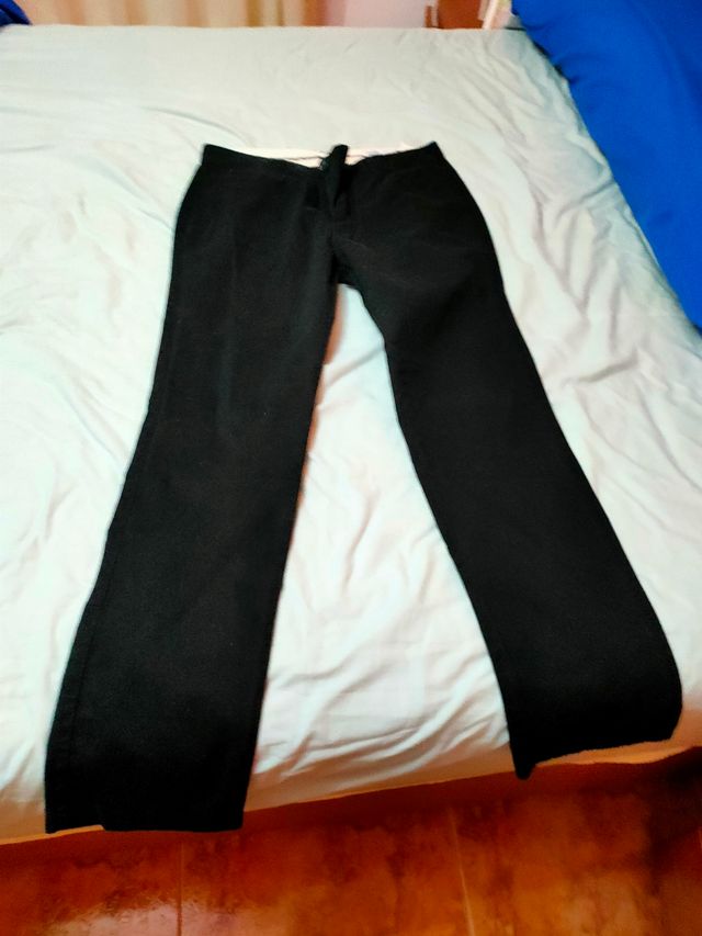 Chino Springfield talla 42