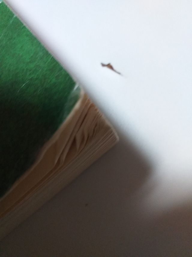 Obras completas de Agatha Christie. Tomo 2.