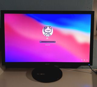 Monitor Acer de 24 pulgadas