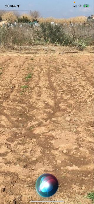 SE  VENDE HUERTO 1,700 metros