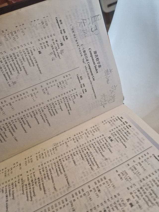 Dizionario cinese-inglese