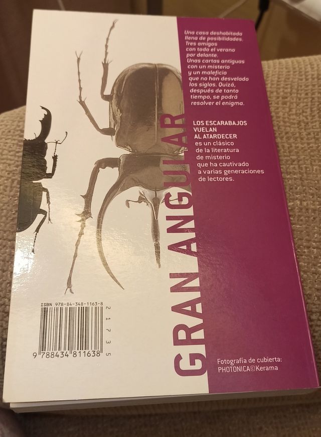 Libro " Los escarabajos vuelan al atardecer"