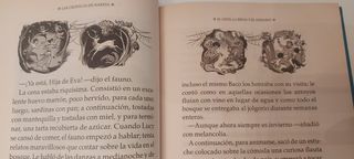 Las crónicas de Narnia . El león, la bruja y el ar