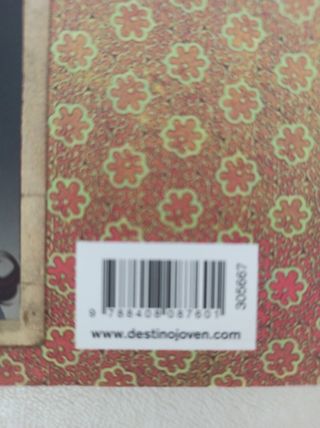 Libro: Los hechiceros días de shirley