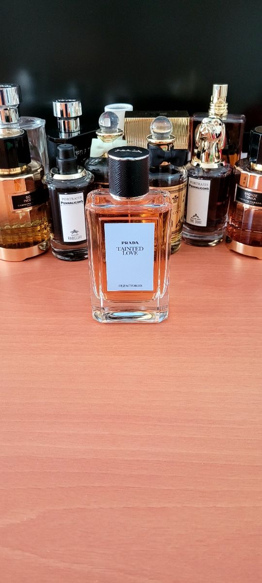 PRADA TAINTED LOVE