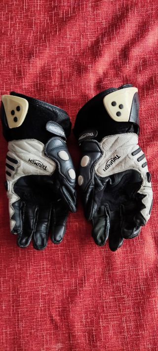 Guantes Alpinestars GP Pro talla L