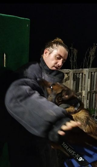 Adiestramiento canino en proteccion