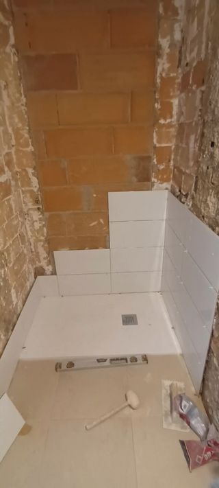 Paleta Albañil