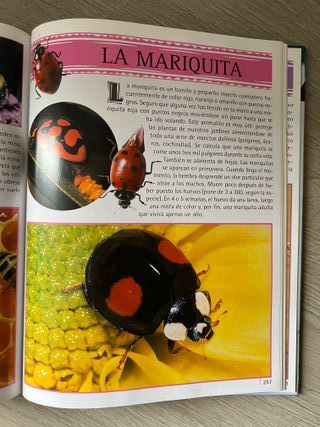 Gran enciclopedia de los animales