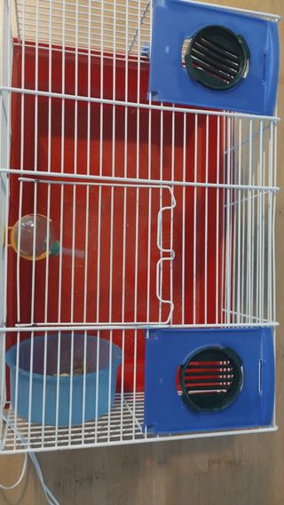 Jaula Hamster