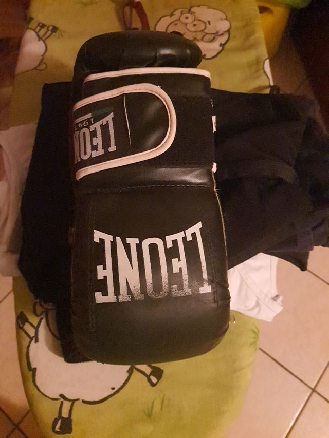 Guanti da sacco Leone