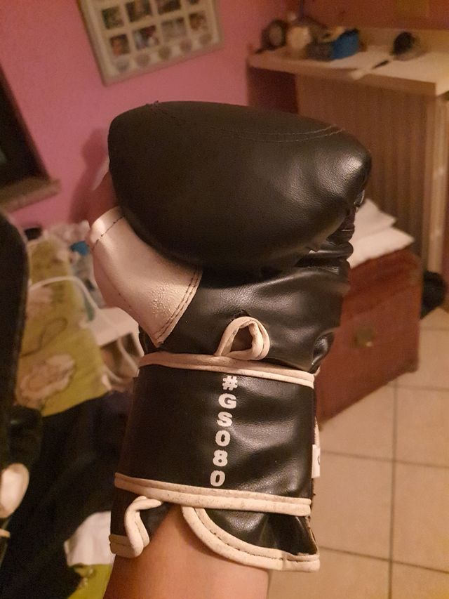 Guanti da sacco Leone