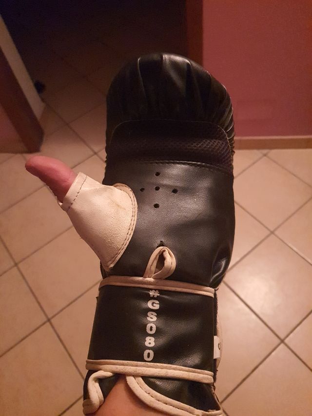 Guanti da sacco Leone