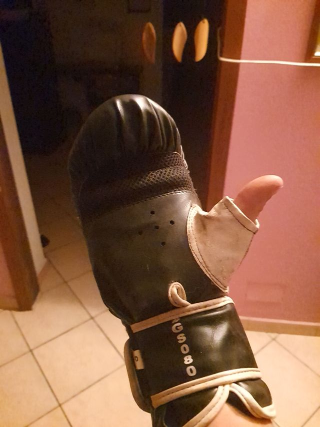 Guanti da sacco Leone