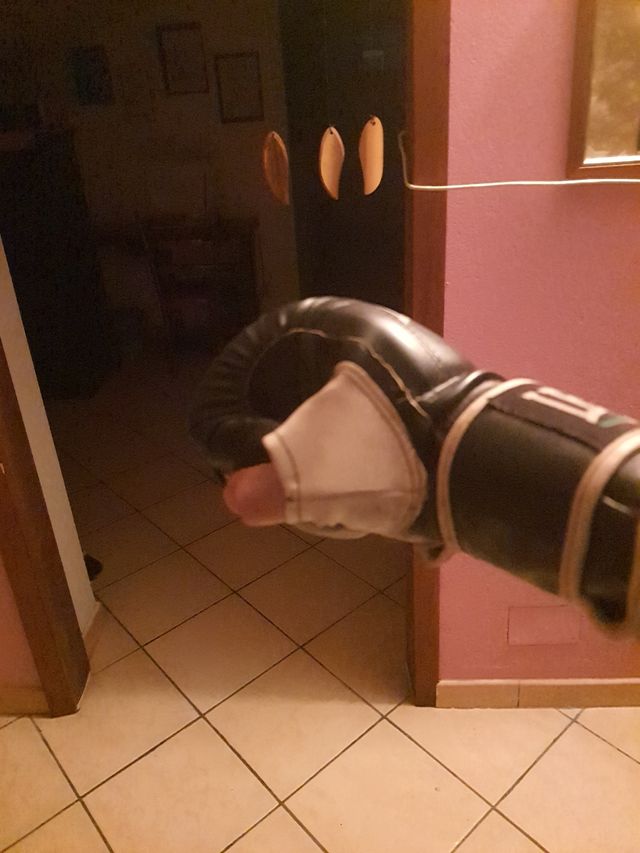 Guanti da sacco Leone