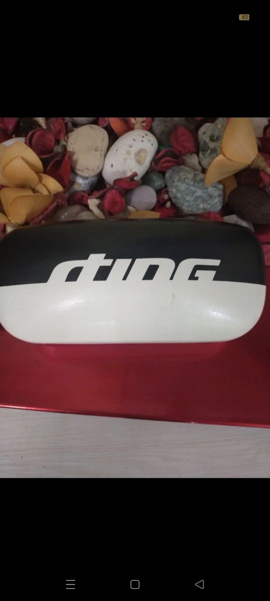 Custodia occhiali Sting