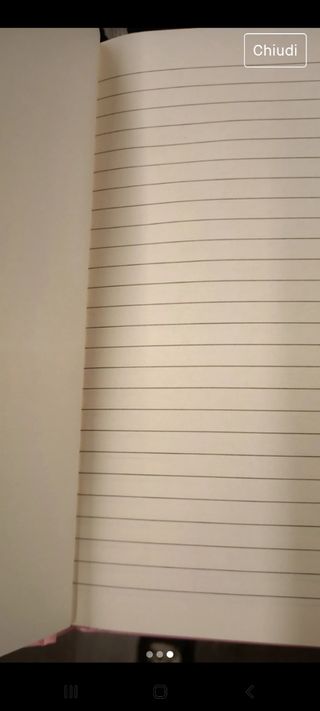 Quaderno copertina rigida panda