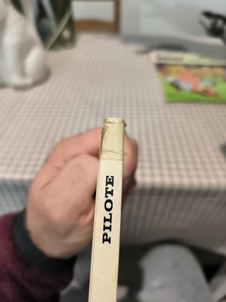 Astérix A Loita dos Xefes