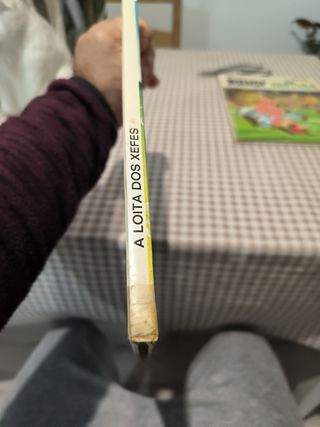 Astérix A Loita dos Xefes